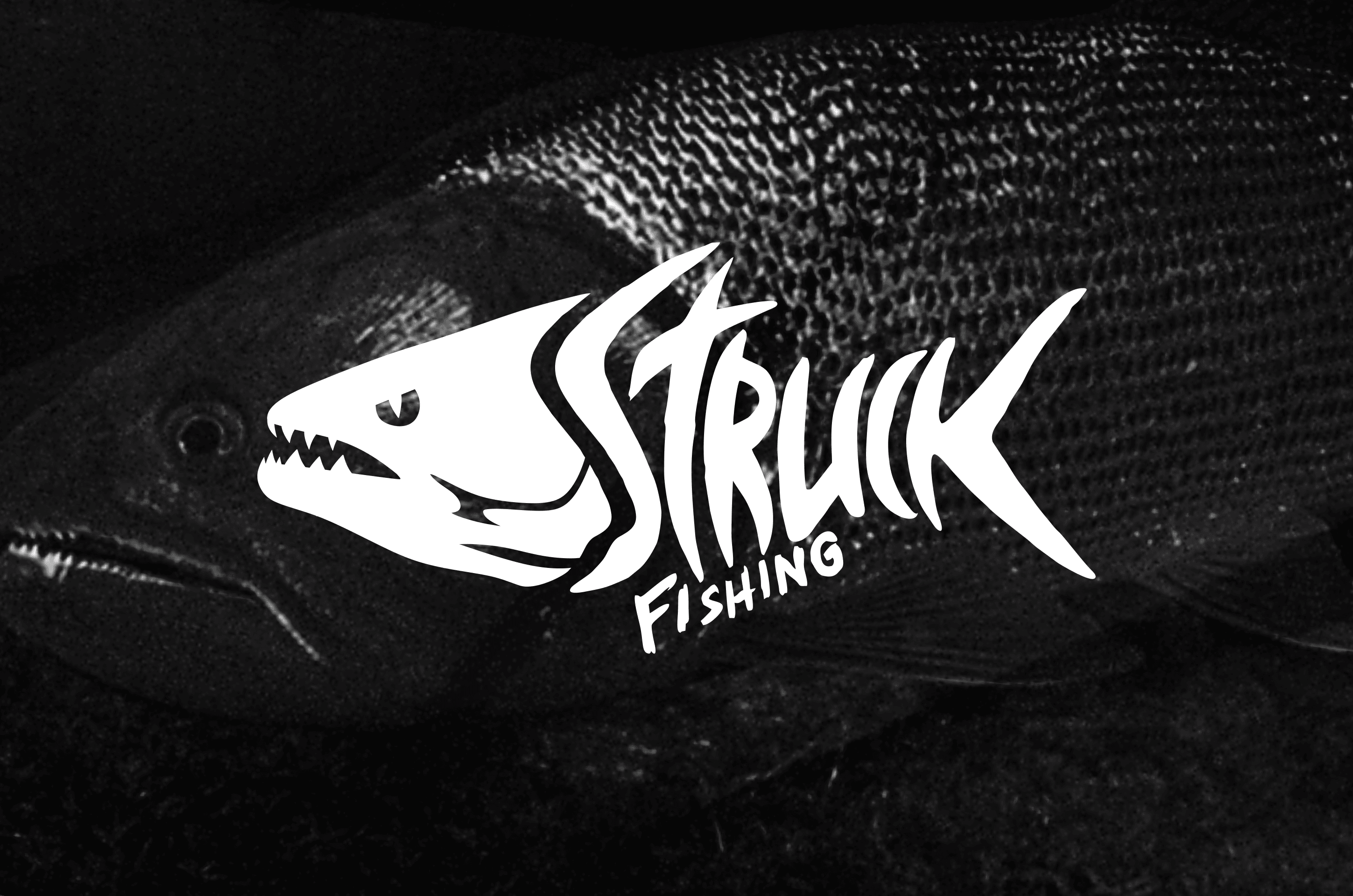 Logotipo Struck Fishing sobre uma imagem de um peixe em preto e branco