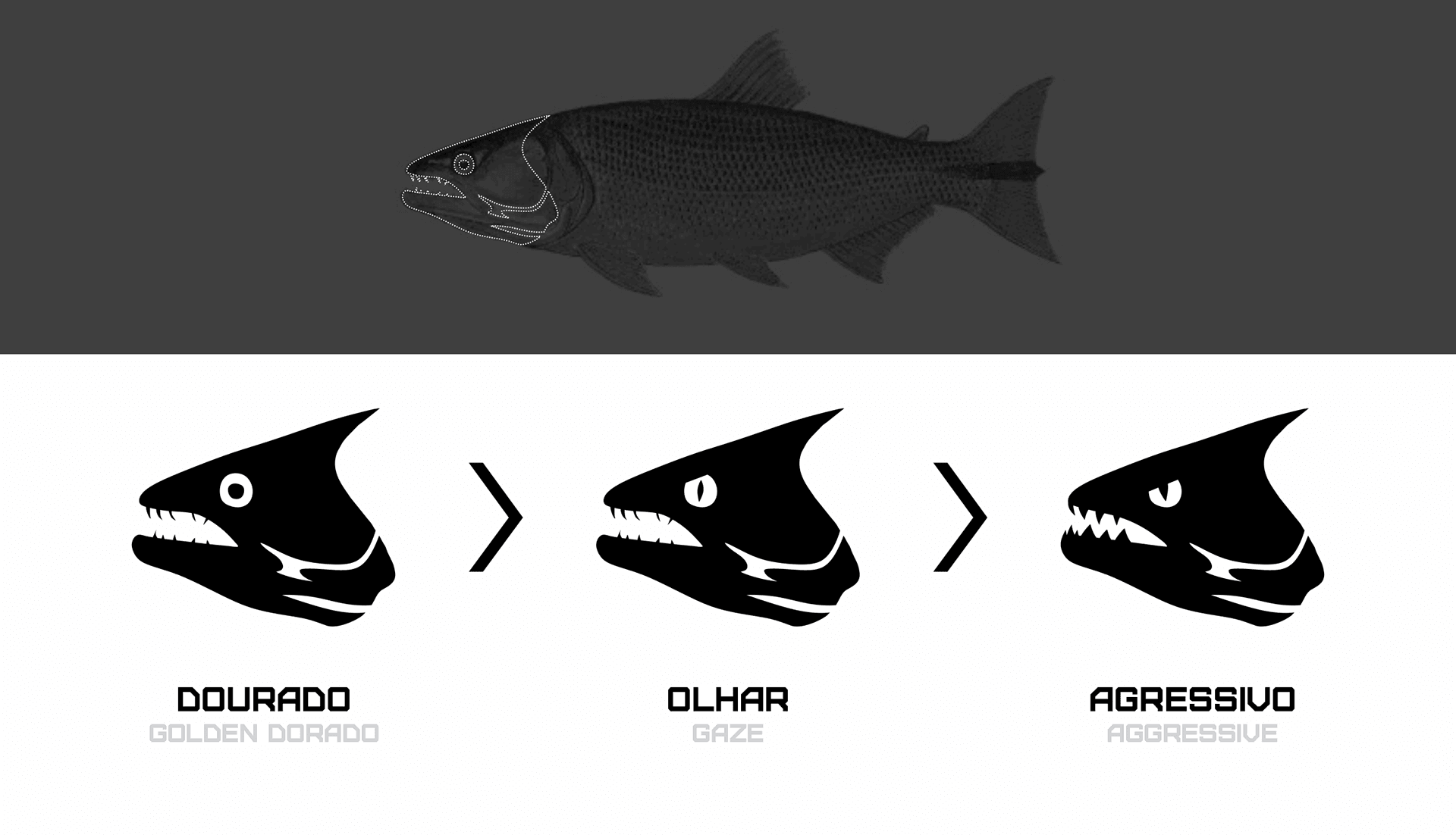 Processo de construção do ícone da marca: três estágios de evolução da silhueta do peixe — quadrado, olhar e agressivo